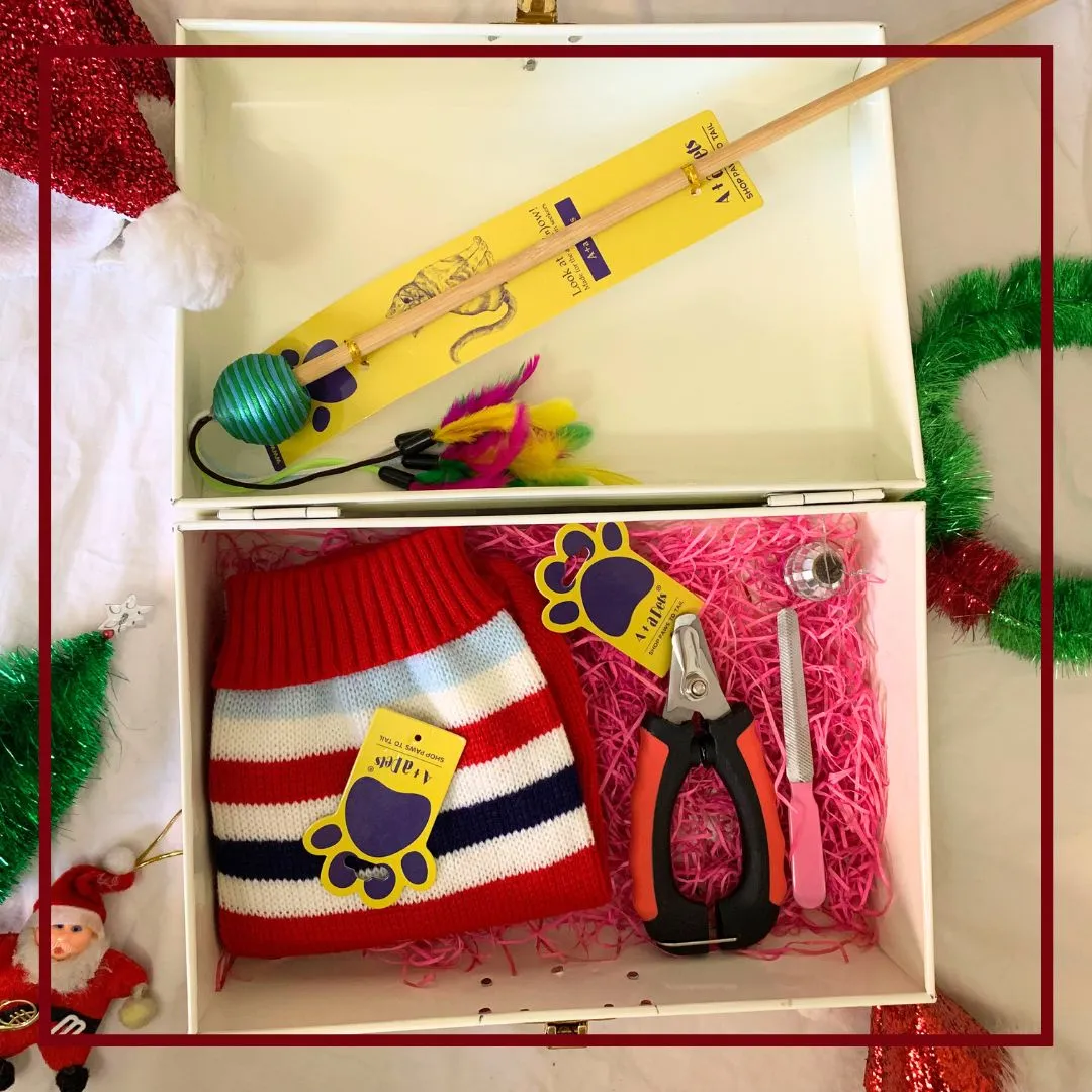 A A Pets' Goodie Box of (3) for Dogs and Cats: Sweater, Nail Cutter with Free Filer, and Wand Toy