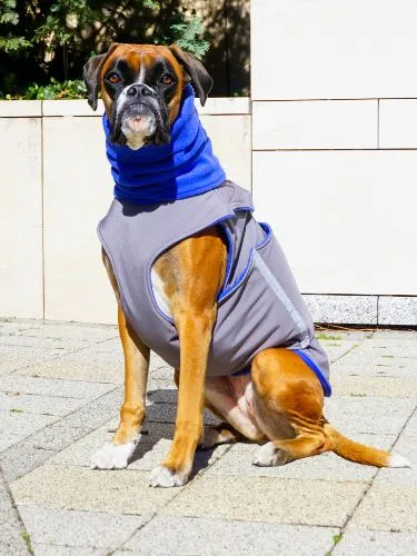 BOXER WINTER DOG COAT   NECK WARMER / MADE TO ORDER