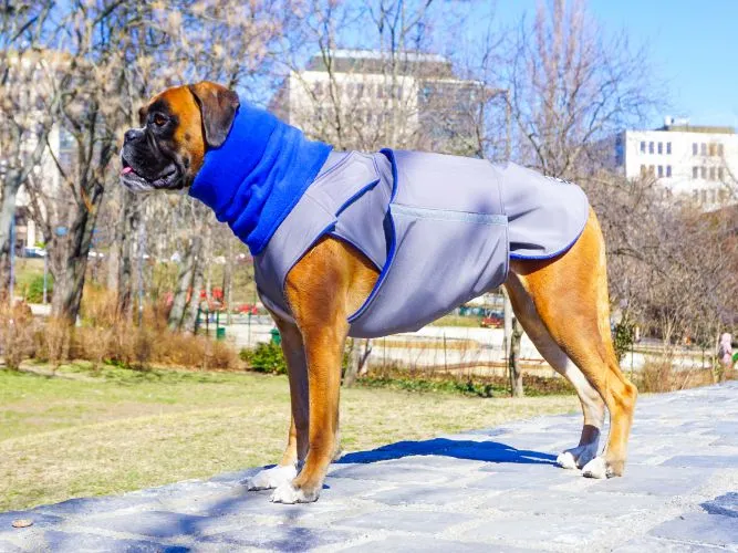 BOXER WINTER DOG COAT   NECK WARMER / MADE TO ORDER