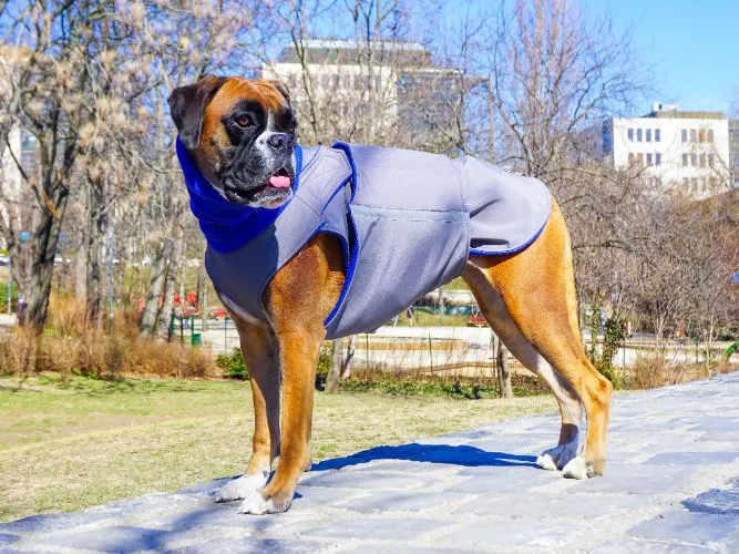 BOXER WINTER DOG COAT   NECK WARMER / MADE TO ORDER