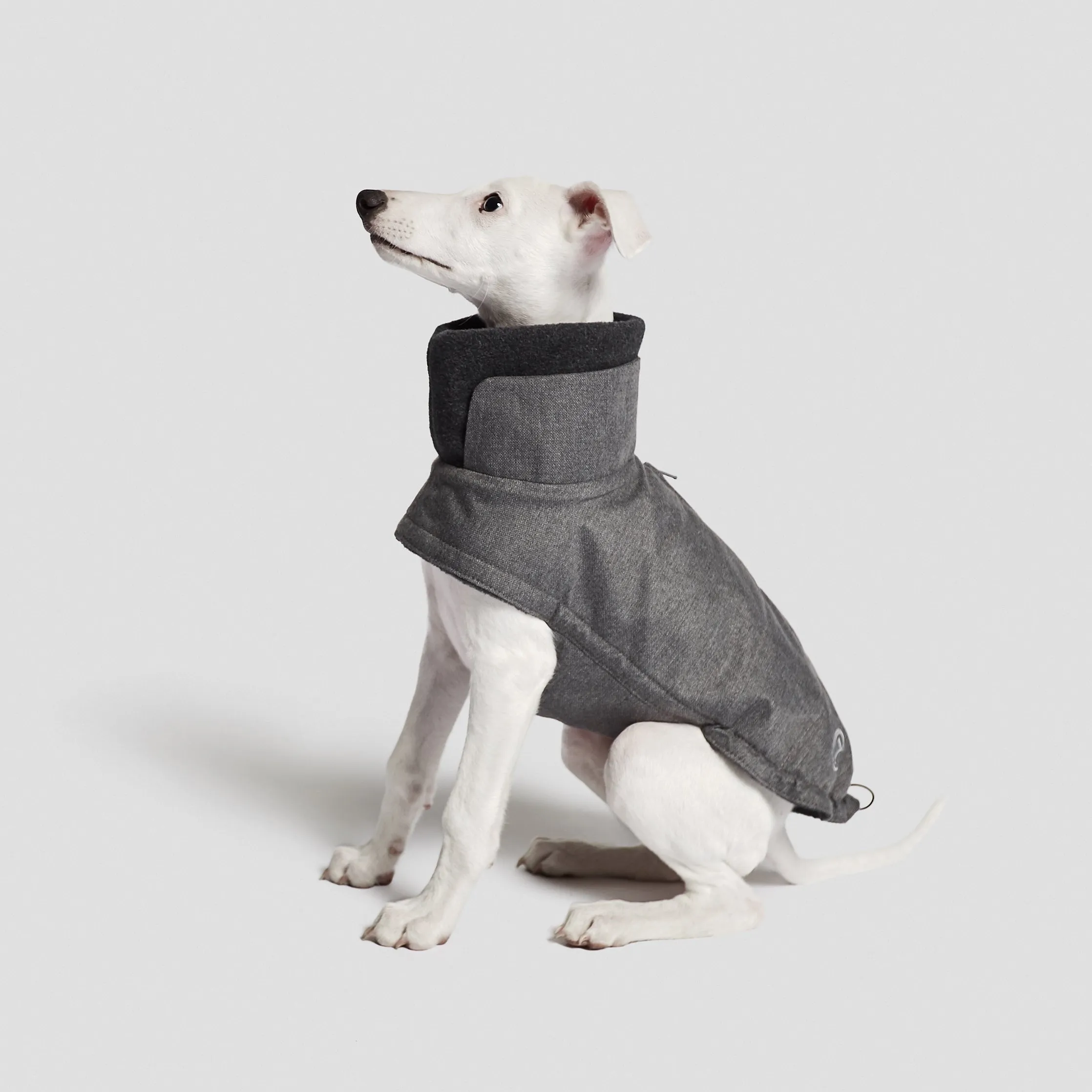 Cloud7 Brooklyn GREYHOUND Flannel Dog Coat